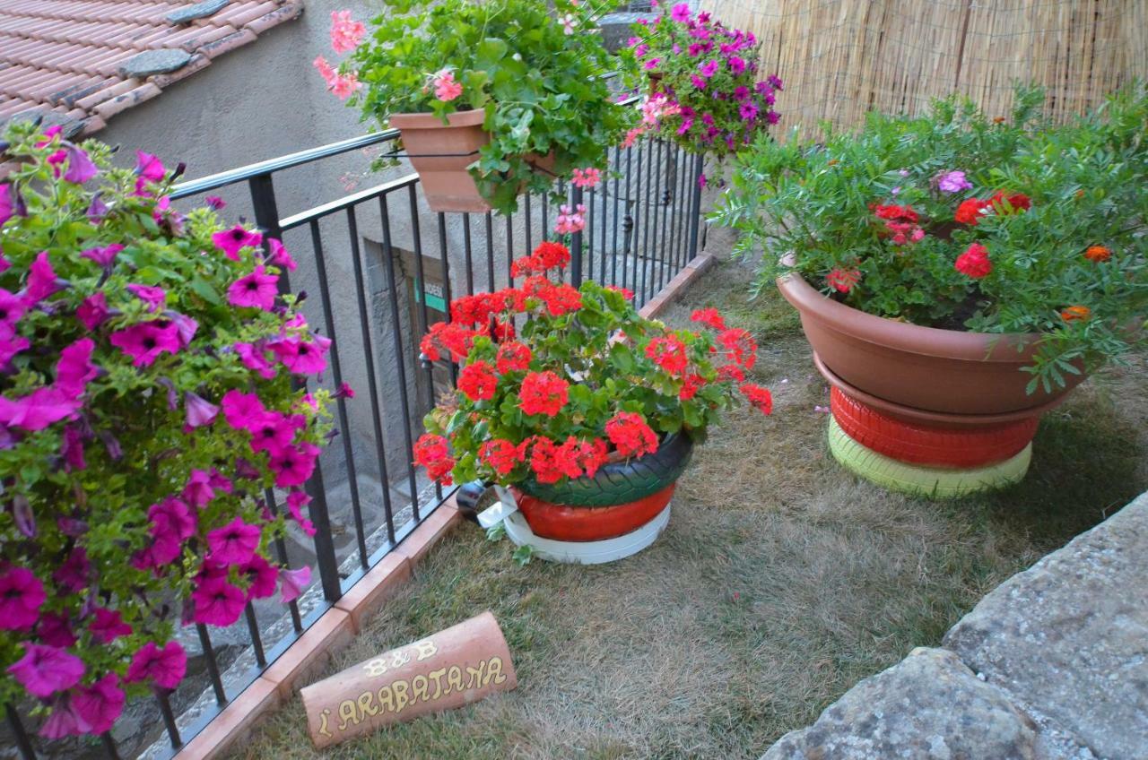 B&B L'Arabatana Pietrapertosa Exteriér fotografie